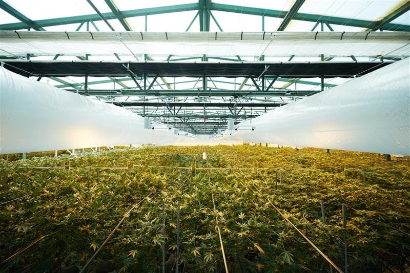 CO2 delivery and monitoring system