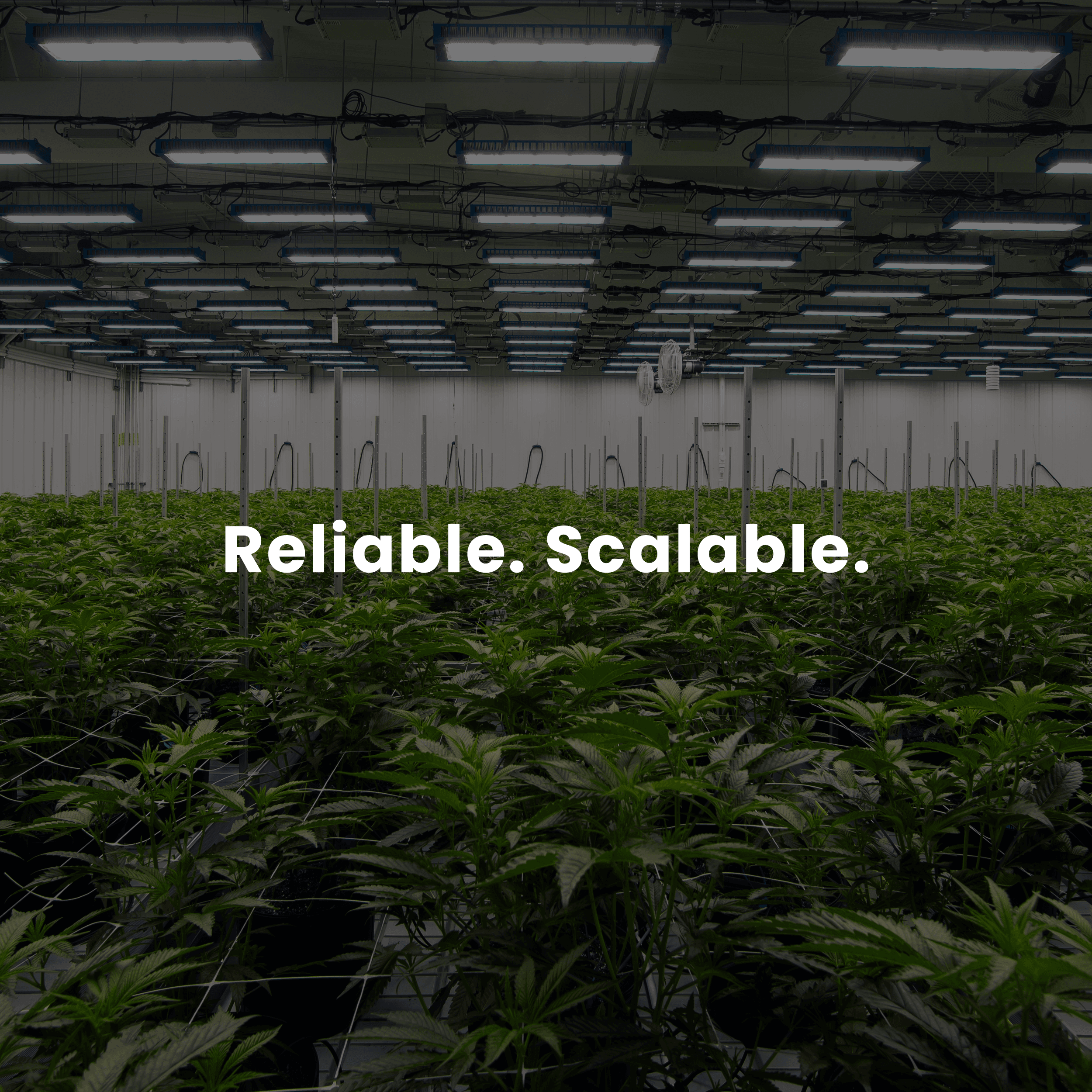 Reliable and Scalable