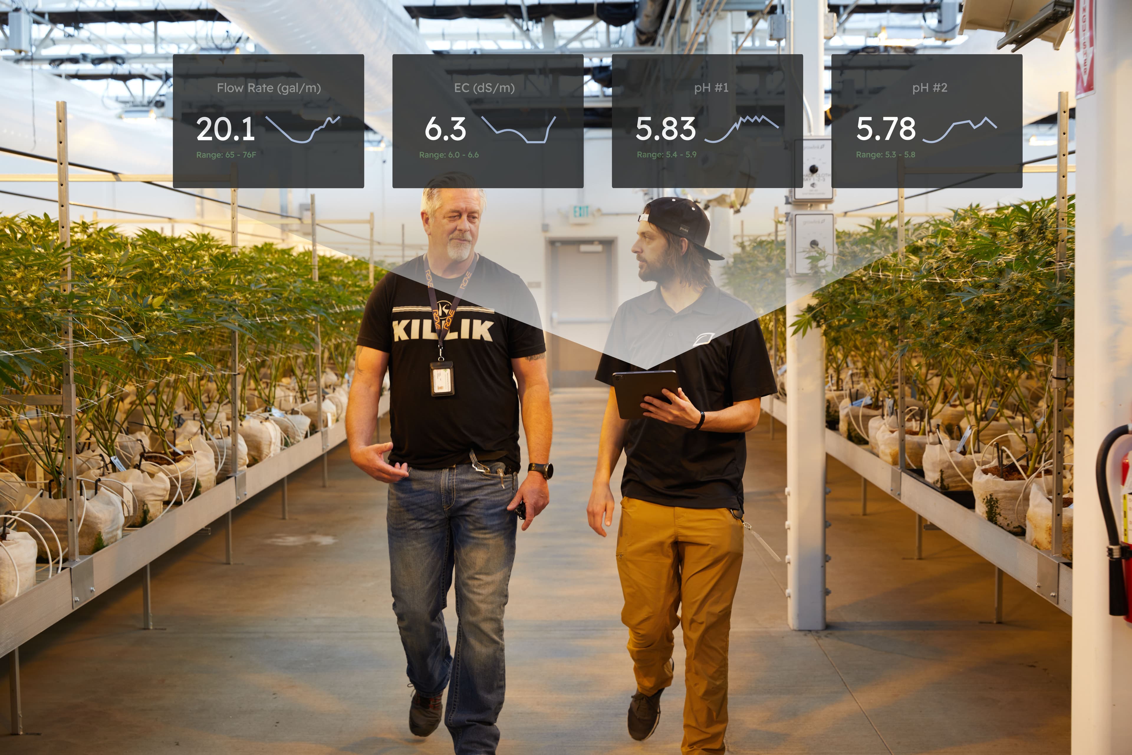 Person using Growlink app in garden