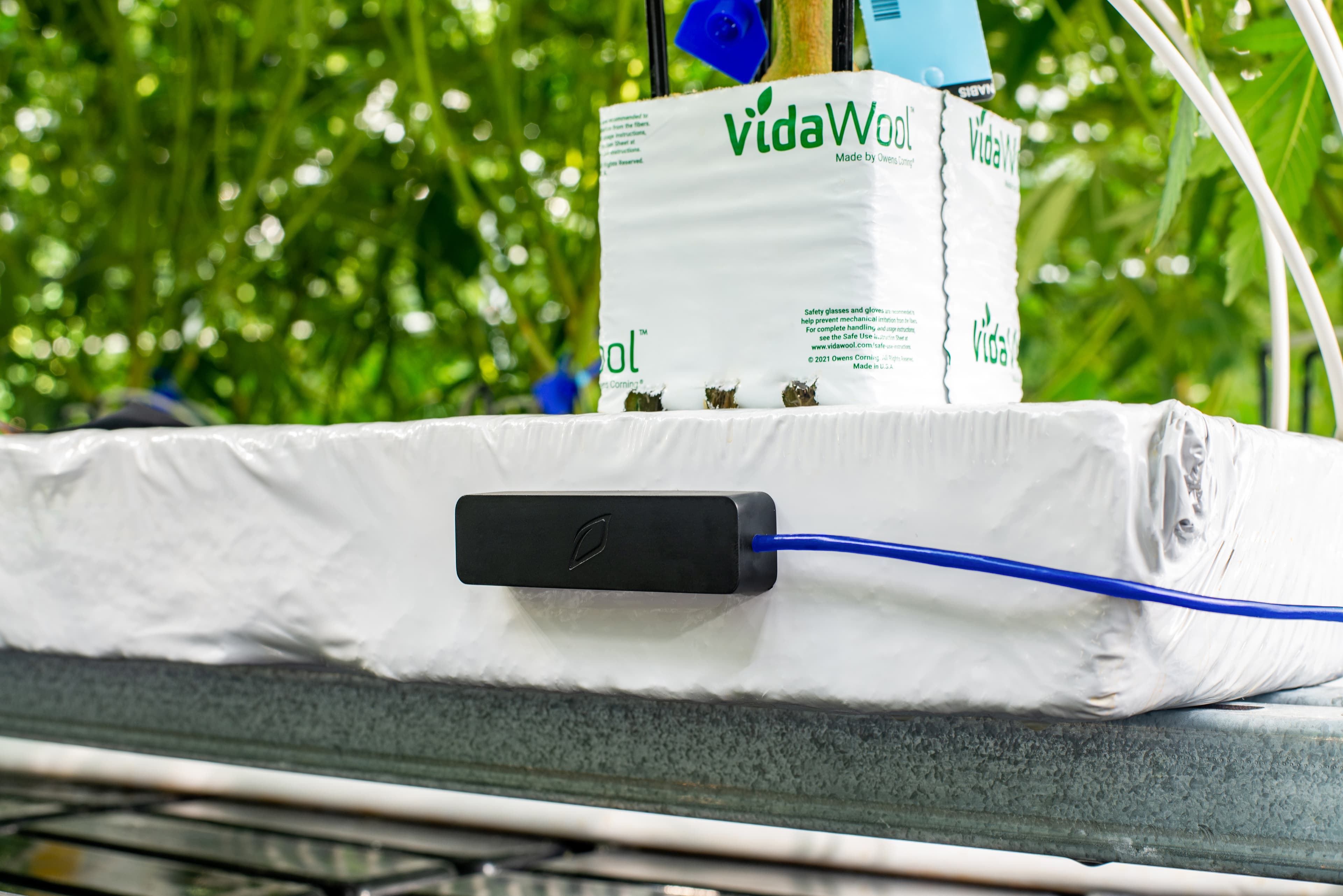 Terralink sensor in growing slab